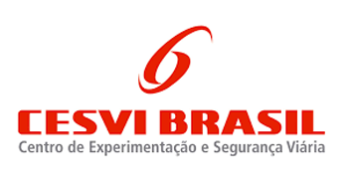 Cesvi Brasil logo