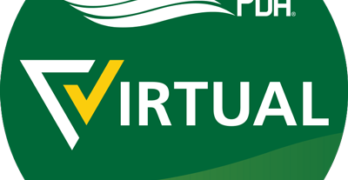 PDA Virtual logo